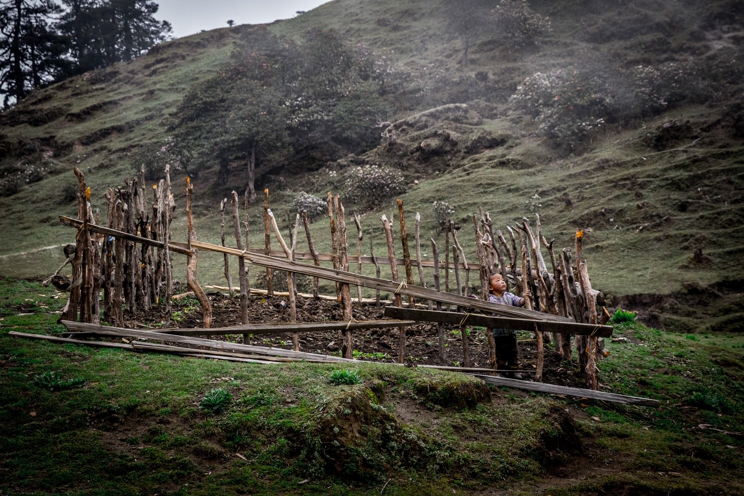 A child plays in a goat pen, Nepal