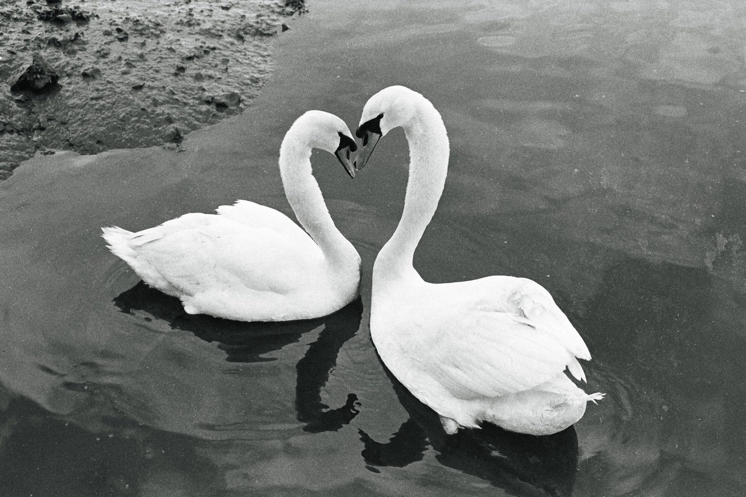 Documentary and reportage wedding photographer