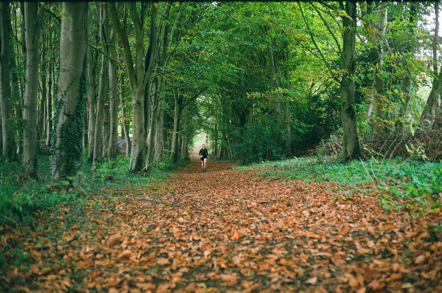 Adventures in 35mm film