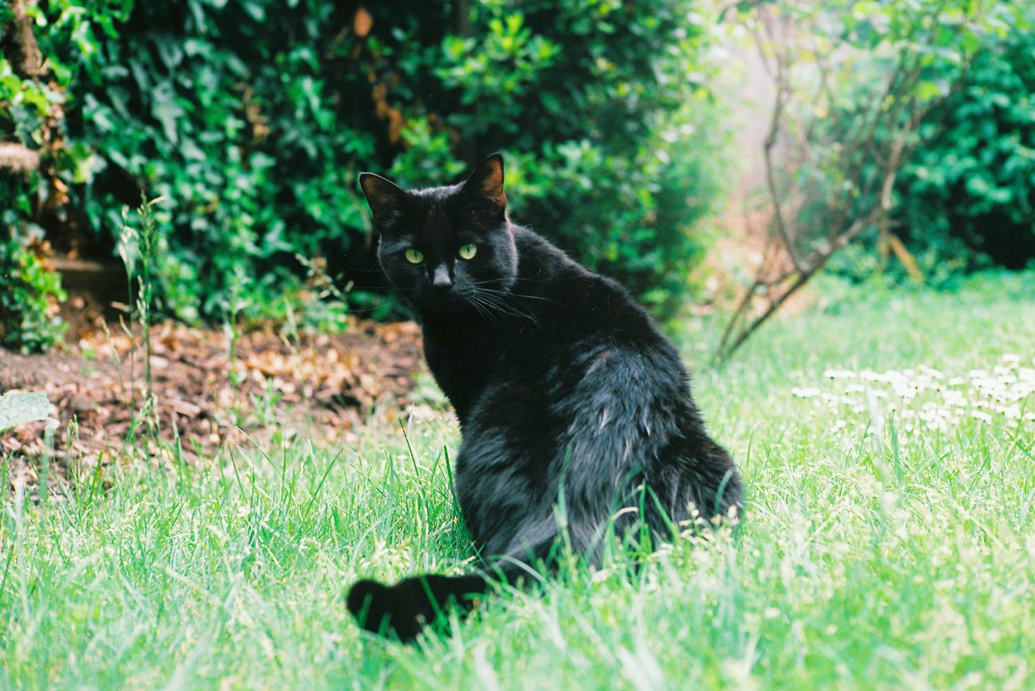 Adventures in 35mm film